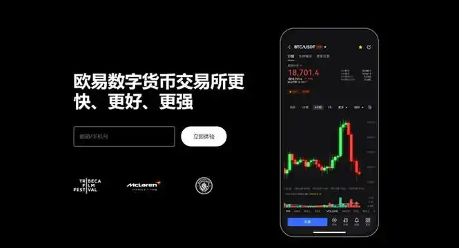 欧币钱包APP官方下载平台展示图